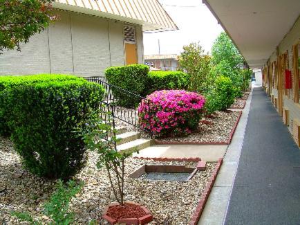 Executive Inn And Suites Springdale Extérieur photo